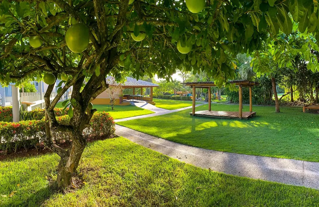 Bosque do Porto Praia Hotel-1